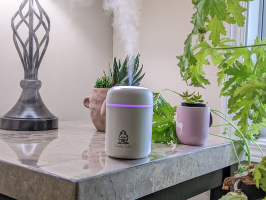 Diffuser - Mini  Portable, USB, Car, Rv, Plants, Room, Office Air Humidifier Essential Oil Aroma Diffuser With Night Light